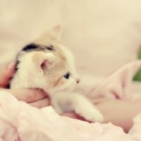 Safe in my armsâ™¥