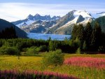 Alaska: the great adventure