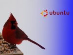 Ubuntu Cardinal