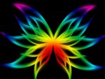 Rainbow Butterfly Wings