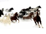 Wild Horses