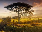 farms near harlech north wales