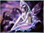 THE FAIRY ANGEL MISS PURPLE