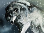 Snow wolf