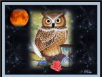 WP FOR ALL MY "NIGHT OWL" FRIENDS ON DN