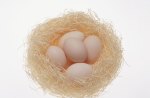 Eggs In A Nest.