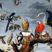 concert of birds