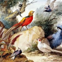 birds in a landscape