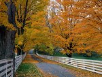 Autumn Way