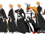 Ichigo's Evolution