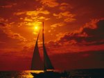 Sailboat sunset