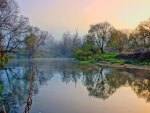 Autumn Morning in the River