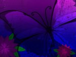 Purple Butterfly