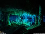 Underwater Cave in the Bahamas