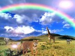 rainbow with wildlife