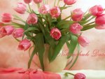 Pink Tulips