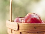 Apple in a basket
