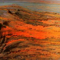 Nature in all its Glory