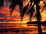 Tropical sunset