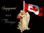 Support our troops