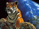 Tiger Earth