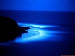 Blue Beach of the Night