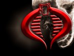Cobra Logo / Skull