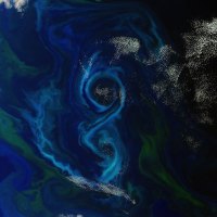 Algae Bloom Figure from ESA Satellite