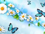 Daisies and Butterflies