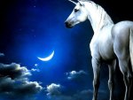 unicorn in the moon!!
