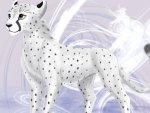 White Anime Cheetah