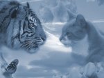 Tiger and Cat