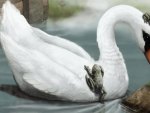 Swan and Frogs