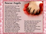 Rescue Angels  --for Carmen
