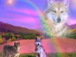 Rainbow Wolf