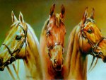 The 3 Horses