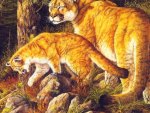 Puma with Cub