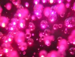 pink bubbles