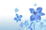 Flower blue's