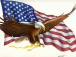 American flag with eagle