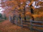 Country fence