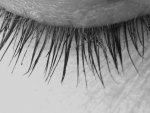 Eyelash