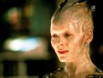star trek:borg queen