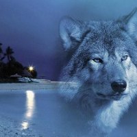 Spirit Of The Beach    {Crieswolf}