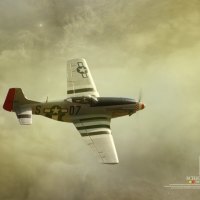 P-51 Mustang - An Icon of the Past, Present, and Future