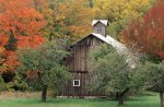 Forest Cabin in Autumn
