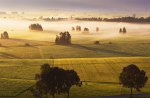 Morning Fog over a Field