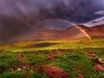 Rainbow over the mountain meadow