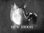 twilight new moon