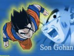gohan